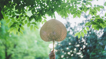 全国各地的夏至食俗